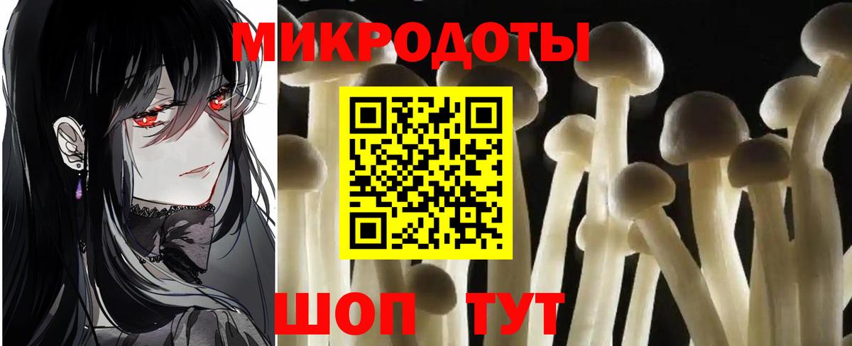 Галлюциногенные грибы Psilocybine cubensis  где найти   Камышин  Вход с VPN  Галлюциногенные грибы мухоморы 